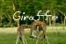 Giraffe Home Page