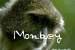Sykes Monkey Home Page