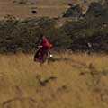 Masai on the Mara