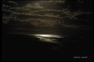 Beach Moonlight- 32388 Bytes