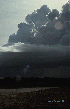 Thunderheads over the beach- 51939 Bytes